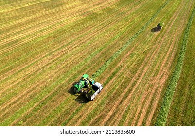 Cutting grass silage at field. Forage harvester John Deere on grass cutting for silage in agricultural field. Self-propelled Harvester on Hay making for cattle at Farm. Russia, Smolensk, Aug 23, 2021
 - Shutterstock ID 2113835600