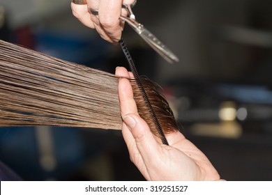 Cutting Hair In A Beauty Salon