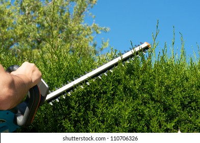 Cutting A Hedge