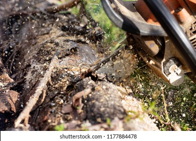 Cutting A Log Of Wood With A Chainsaw. Wood Chips Flying.