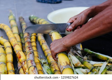 Cutting and peeling sugarcane - Shutterstock ID 1259827624
