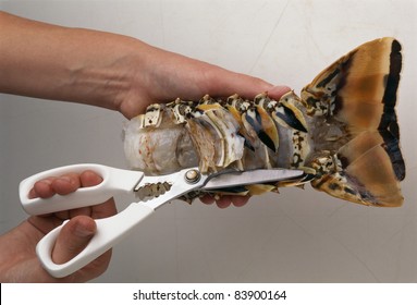 Cutting the shell of a lobster tail