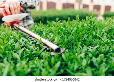 Cutting a shrub with an electric brush cutter - Shutterstock ID 1724066842