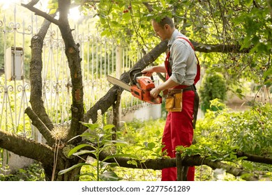 Cutting tree branches with a pole chain saw