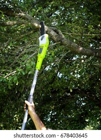 Cutting Tree Branches With A Pole Chain Saw