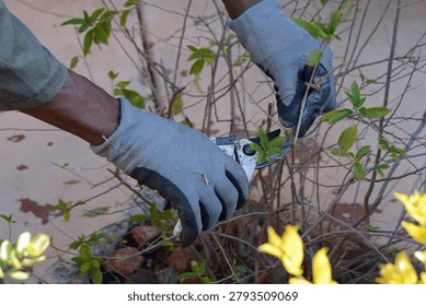Cutting of trees with grading tool.