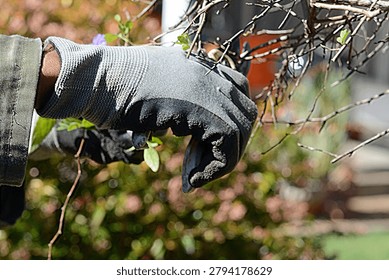 Cutting of trees with grading tool.