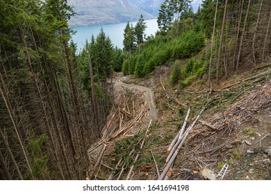 Cutting Tress For New Skiing Tracks At Queenstown, New Zealand