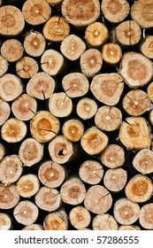 Cutting Wood Is Arrange To Be The Natural Wall At Farm In Thailand