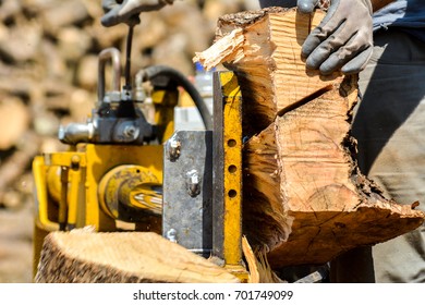 cutting woods in logs with an industrial cutting machine - Shutterstock ID 701749099