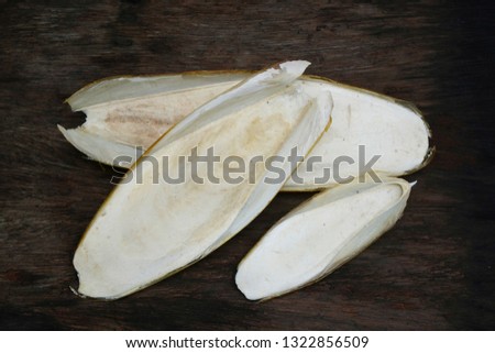 Cuttlebone or Cuttlefish bone, natural calcium supplement for pet 