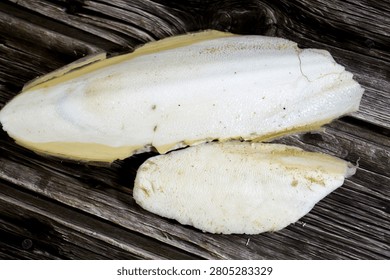 Cuttlebones, the internal shell of a cuttlefish, used as a calcium supplement for birds, reptiles, and aquatic snail, found washed up on beaches or harvested as a byproduct of commercial fishing
