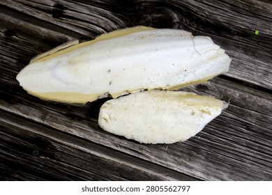 Cuttlebones, the internal shell of a cuttlefish, used as a calcium supplement for birds, reptiles, and aquatic snail, found washed up on beaches or harvested as a byproduct of commercial fishing