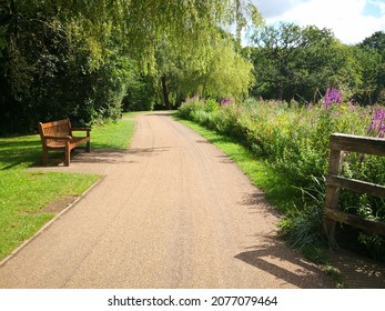 Cwmbran, Torfaen, Wales-August 22nd 2021:Path Round The Cwmbran Boating Lake To Stroll.Wooden Park Bench Under The Willow Tree.Water Bank Flowers, Rushes And Reeds Growing. Close To City Of  Newport. 