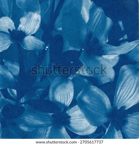 Cyanotype Abstract Flower Pattern Shadow