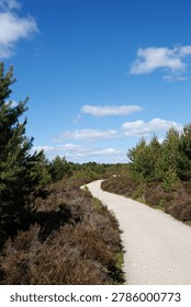 Cycle path and footpath on through countryside on sunny day, Aviemore, Scotland