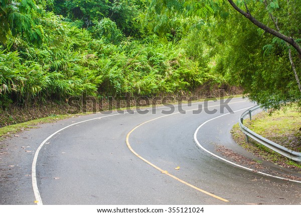 A cycle\
route on green forest, Chiangrai,\
Thailand.