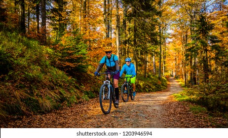 Radfahren, Mountainbikerpaar auf Radweg im Herbstwald. Mountainbike im Herbstlandschaftswald. Mann und Frau mit dem Fahrrad MTB fließen bergauf.