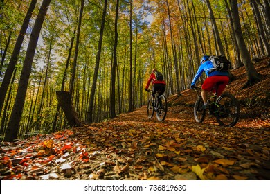Cycling, mountain biker couple on cycle trail in autumn forest. Mountain biking in autumn landscape forest. Man and woman cycling uphill trail.