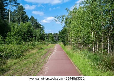 Cycling path through the forest in Averbode, Flemish Brabant, Belgium 19 June 2025