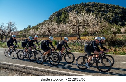 Cycling Team Riding Along A Road In Majorca

Valldemossa, Mallorca, SPAIN
February, 2, 2022