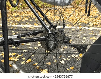 A cyclist is adjusting the rear wheel of a bicycle on a wet, leaf-covered ground during autumn. This image captures the essence of biking maintenance and outdoor activity in a seasonal setting. - Powered by Shutterstock