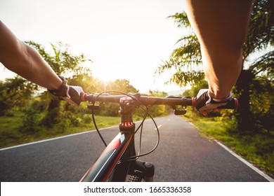 Cyclist cycling mountain bike on tropical forest trail