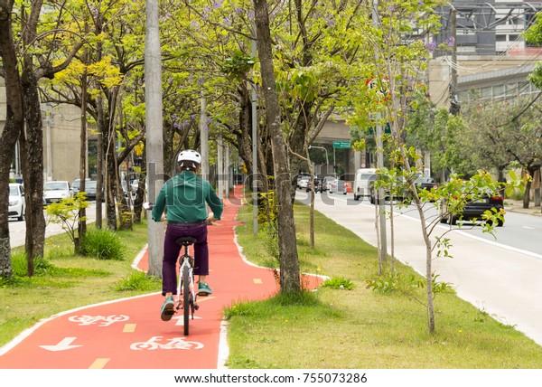 Cyclist is cycling on the cycle track.\
Tree-lined avenue and no car\
traffic.
