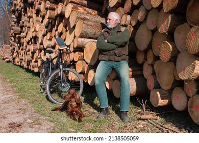 A cyclist and his beautiful Irish Setter dog take a break by a huge pile of tree trunks, enjoying the stillness and the warm rays of the March sun.