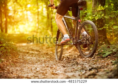 
cyclist man riding mountain bike in forest horizontal view of healthy lifestyle