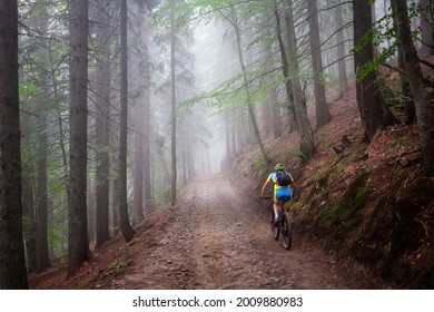 Radfahrer im Herbstwald