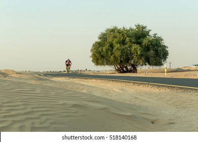 Cyclist on a bicycle in the desert. Asphalt bicycle path in the desert, the road divide tree in the middle. Sport in the desert. Advertising concept. 