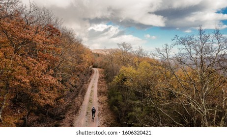 Cyclist On Gravel Bike In A Forest