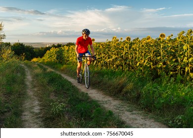 The cyclist in red blue form rides along fields of sunflowers. In background a beautiful blue sky. Horizontally framed shot. - Shutterstock ID 756670045