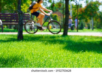 a cyclist rides a bicycle in a city park, summer day, green lawn with grass and trees, bright sunlight and shadows