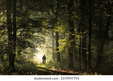 A cyclist rides through the autumn forest during sunrise. - Powered by Shutterstock