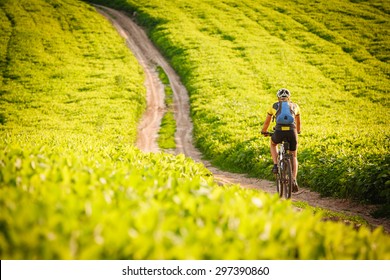 Cyclist Riding The Bike On The Beautiful Spring Mountain Trail
