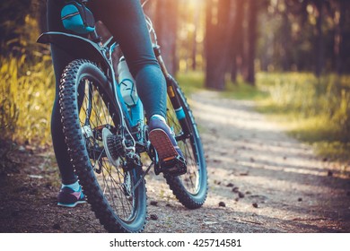 127,690 Forest biking Images, Stock Photos & Vectors | Shutterstock