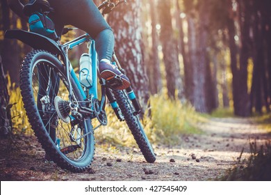 cyclist riding mountain bike in the forest
