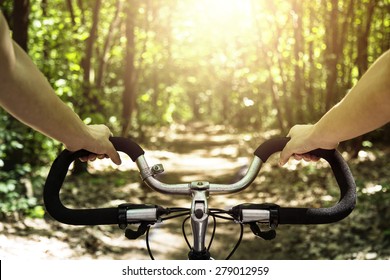 Cyclist Riding On His Bike At Sunset In Forest- First Person View