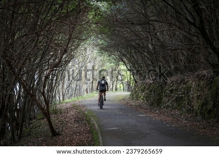 cyclist rolling down a road under the forest, Buciero mountain, Santoña, Cantabria, Spain