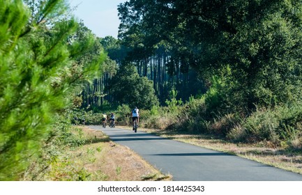 Cyclists In The Landes Forest In The South West Of France