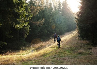 Cyclists Woman And Man Riding In Forest Before Sunset, Outdoor Sport Mountain Biking Concept, Autumn