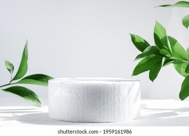 Cylindrical podium on a white background with hard shadows and leaves. Minimal empty scene of cosmetic products presentation. Geometric podium. - Shutterstock ID 1959161986