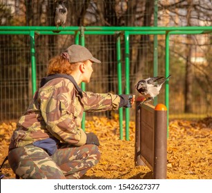 Cynologist On The Dog Playground Trains A Crow.Woman And Bird.