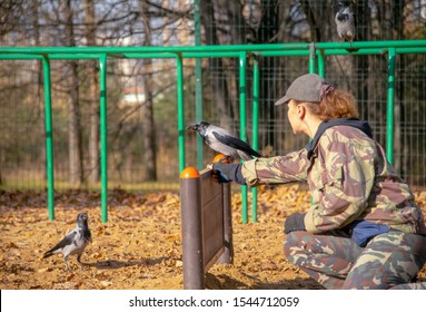 Cynologist On The Dog Playground Trains A Crow.Woman And Bird.