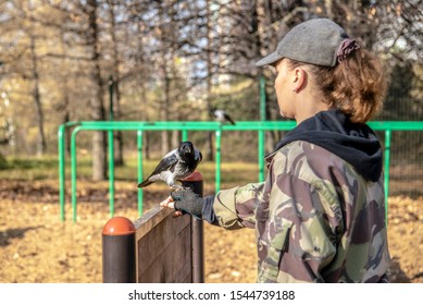 Cynologist On The Dog Playground Trains A Crow.Woman And Bird.