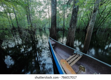 Cypress Canoe Trail