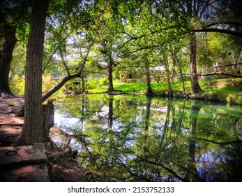 Cypress Creek, Wimberley, Texas, Cypress Trees