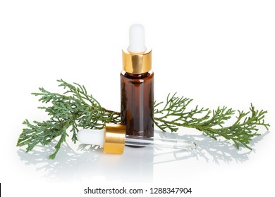 Cypress Essential Oil Isolated On White Background. Cypress Oil On Bottle  With Dropper